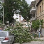 Rüzgarda devrilen ağaç park halindeki araçlara zarar verdi 3 ruzgarda devrilen agac park halindeki araclara zarar verdi e56d25b815b3
