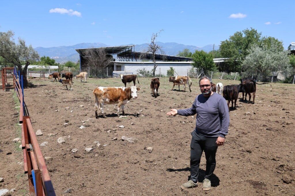 yerli irklar daha dayanikli e6b2818427a3