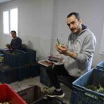 yesil elmas enginarin gorunmeyen mesaisi yuz gulduruyor 9a616bb113c3