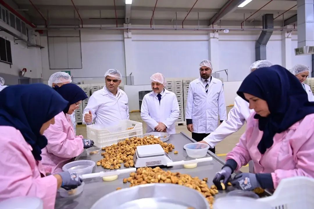 Vali Varol, Nazilli’de: Aydın incirine yakın markaj