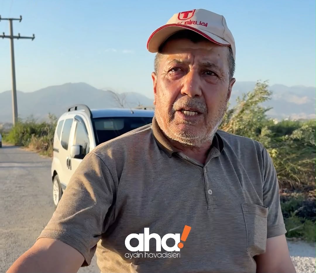 Aydın’da emekler yanıp kül oldu: Çiftçiden TMO’ya sert tepki