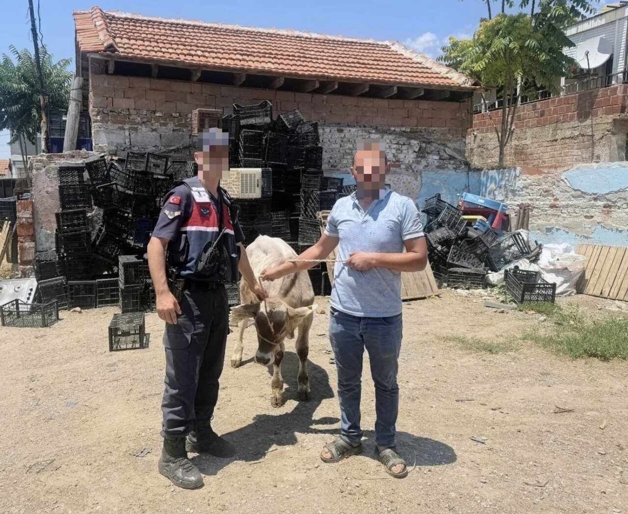 Ahırdan çalınan büyükbaş hayvan bulundu