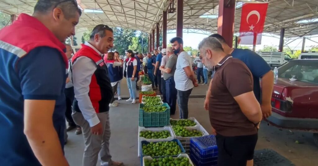 aydin inciri icin denetimler suruyor 899e9dddada2