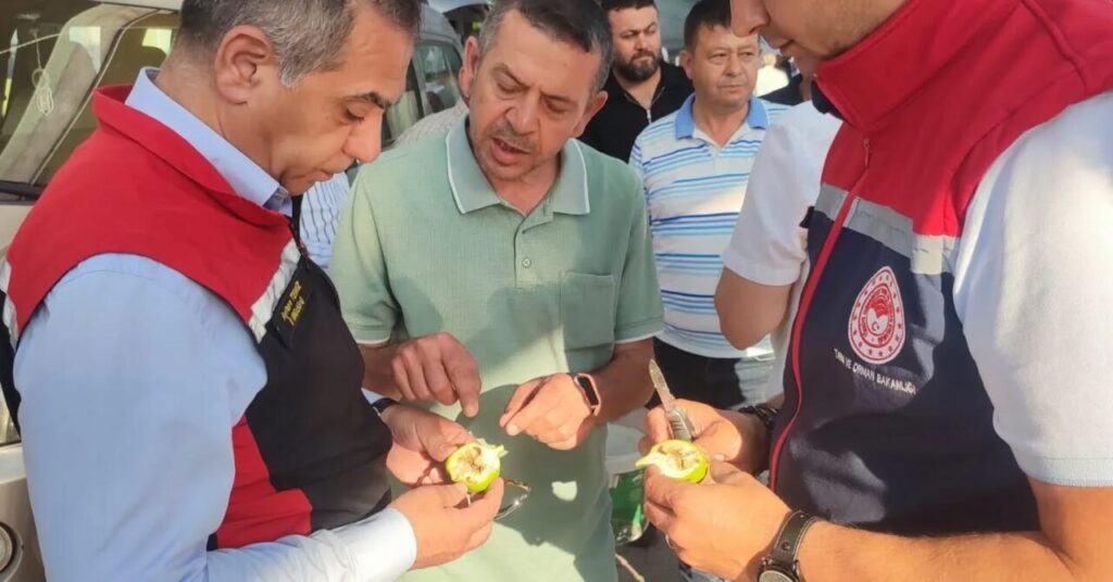 Aydın’da ilek pazarı denetimleri aralıksız sürüyor 2 aydinda ilek pazari denetimleri araliksiz suruyor cff1cca39d26