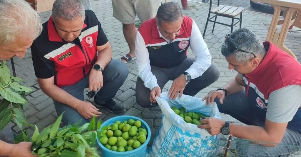 aydinda ilekleme sezonu yakindan takip ediliyor 315fcfea6b9a