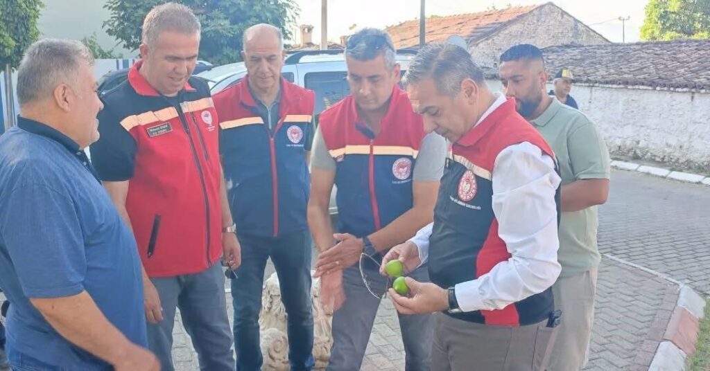 aydinda ilekleme sezonu yakindan takip ediliyor 482d08e91a00