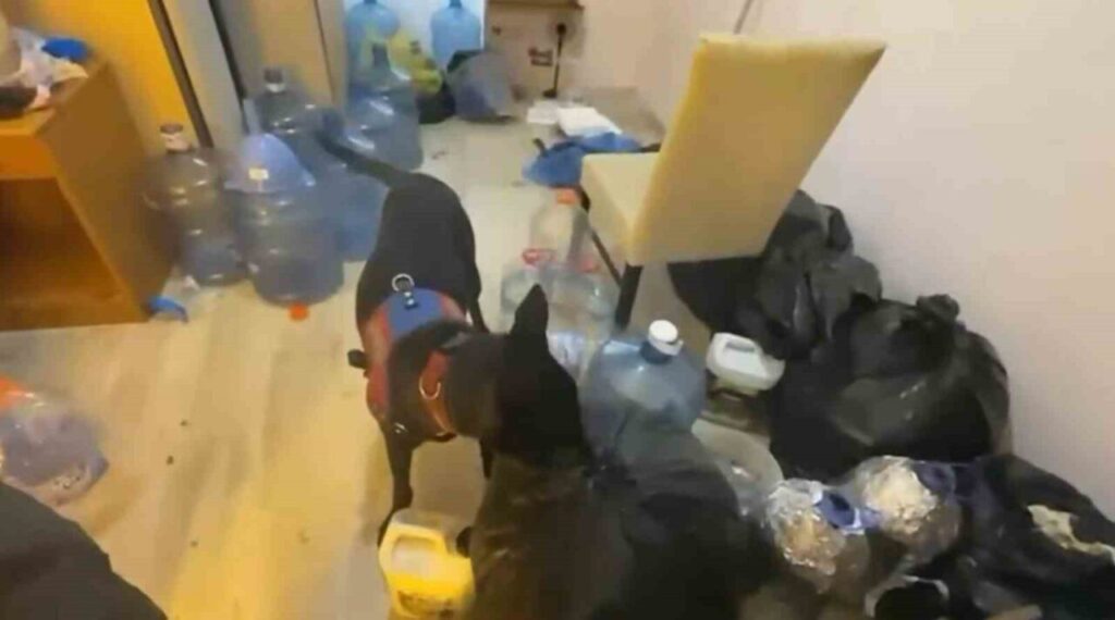aydinda uyusturucu operasyonu 89 supheliye es zamanli baskin 14b153dde16e