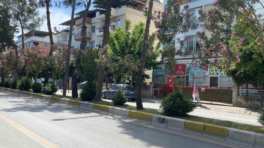 aydinin cadde ve sokaklari cicek acti 04bc9d9b3706