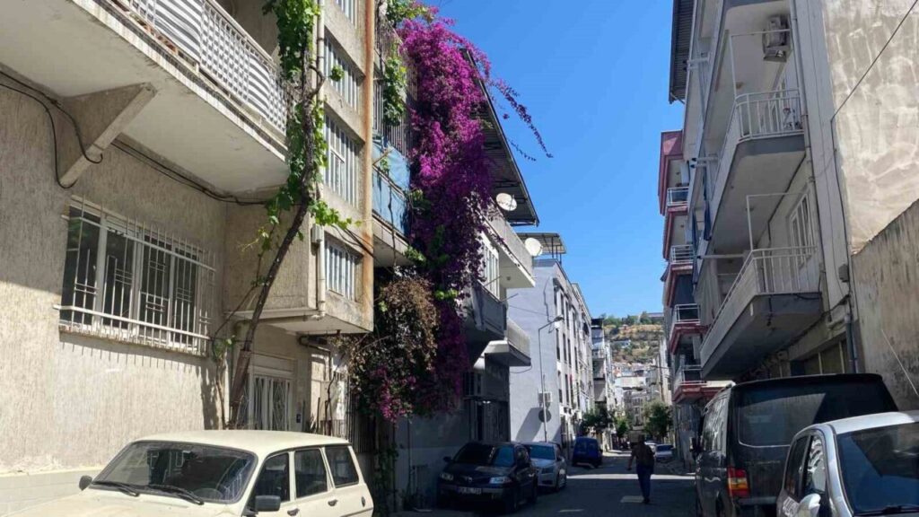 aydinin cadde ve sokaklari cicek acti 114e153d49df