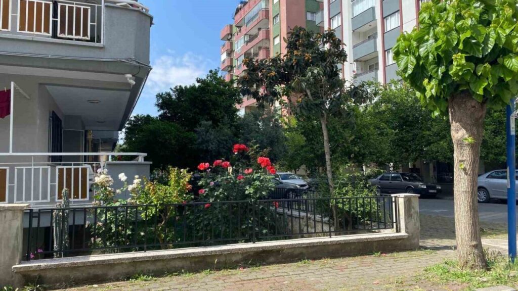 aydinin cadde ve sokaklari cicek acti 551ae2d9b56a