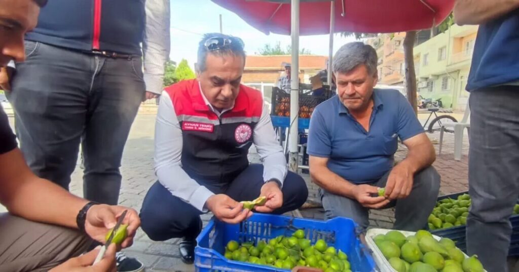 aydinin dunya markasi inciri icin sahada yogun mesai 5f4340c1d987