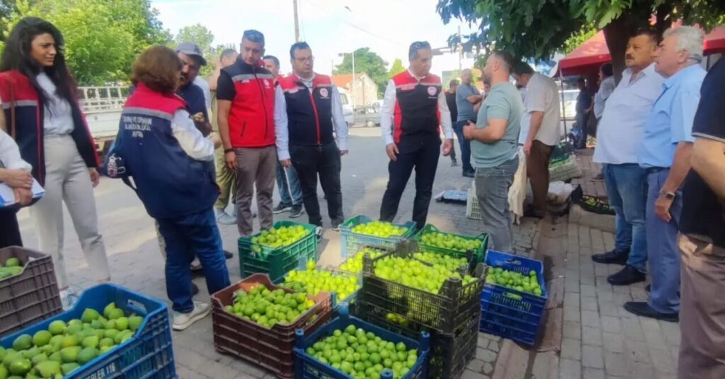 aydinin dunya markasi inciri icin sahada yogun mesai 830a750a3b57