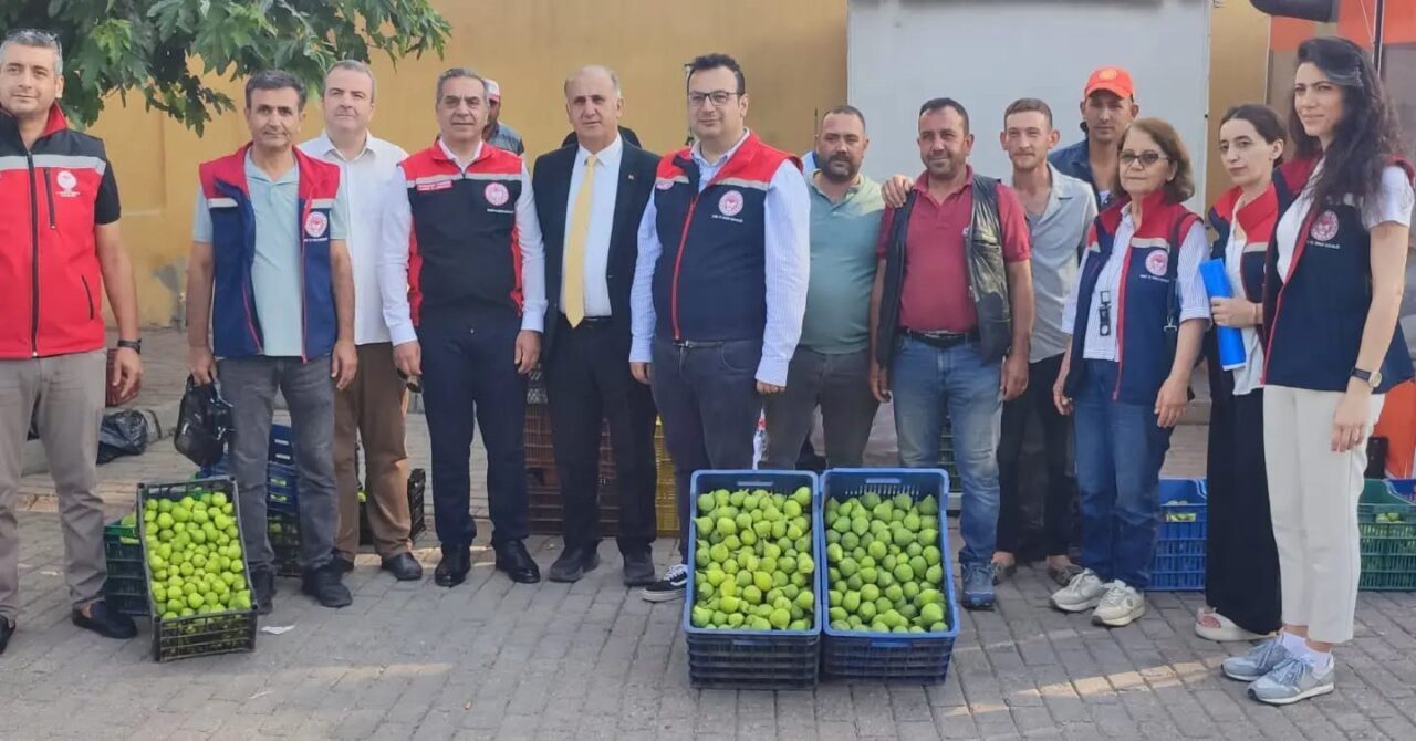 Aydın’ın dünya markası inciri için sahada yoğun mesai 6 Aydın’ın dünya markası inciri için sahada yoğun mesai