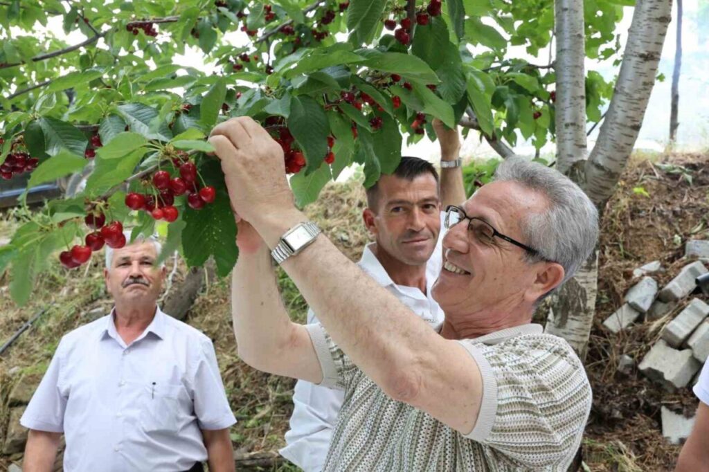 baskan tetik hizmet atagi merkezden koylere yayiliyor f8f843ea8367