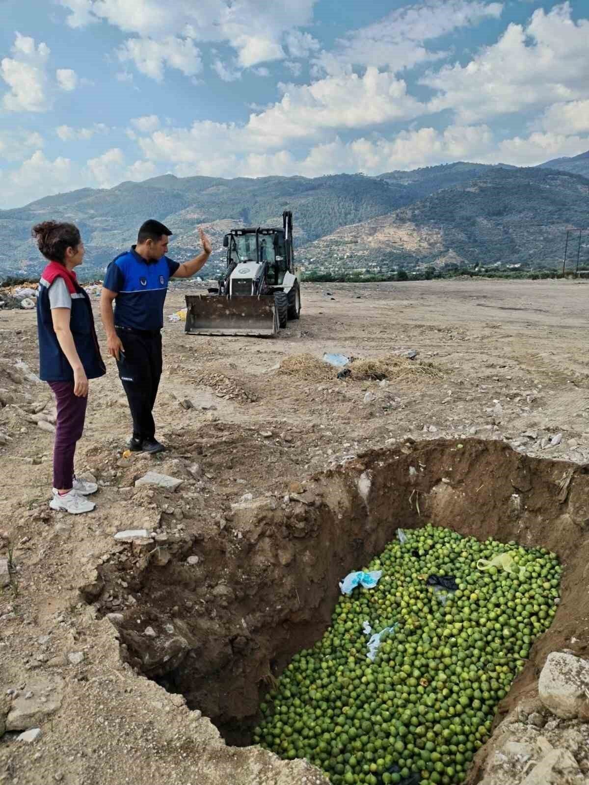 Bozdoğan’da imha operasyonu