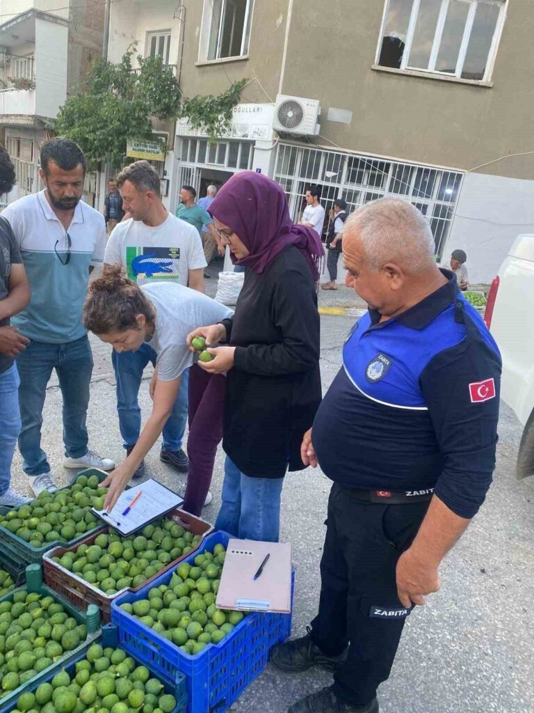 bozdoganda hastalikli ilekler imha edildi 2d9afed1d8de
