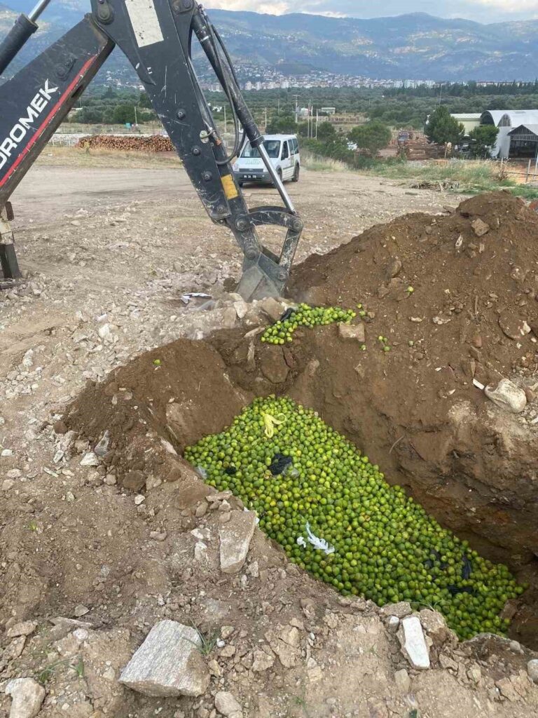 bozdoganda hastalikli ilekler imha edildi 350dcb7ef1e2
