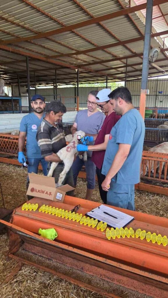 bozdoganda hayvan sagligi ekipleri sahada 7cf4284fc388