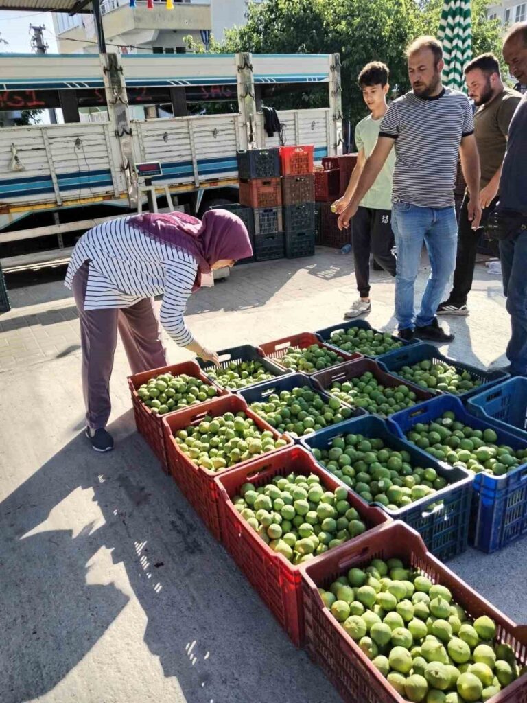 bozdoganda ilek denetimleri araliksiz suruyor 39763f7da438