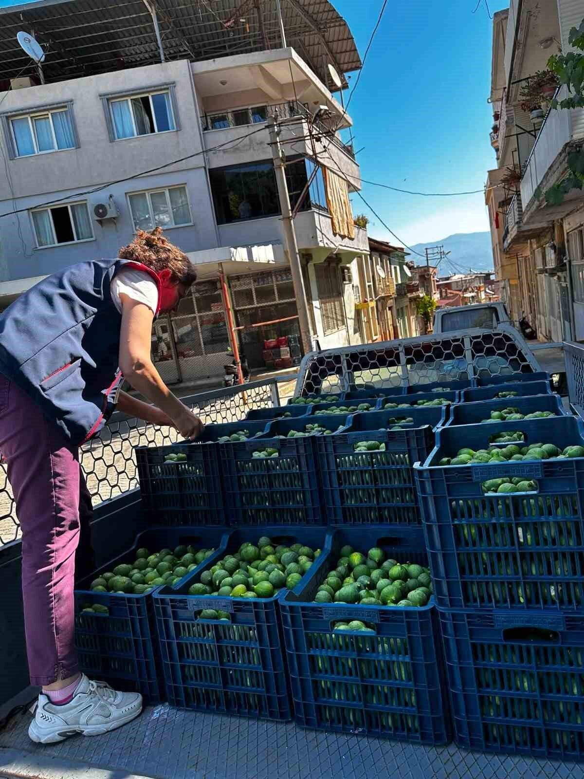 bozdoganda ilek denetimleri araliksiz suruyor 72fef894d577