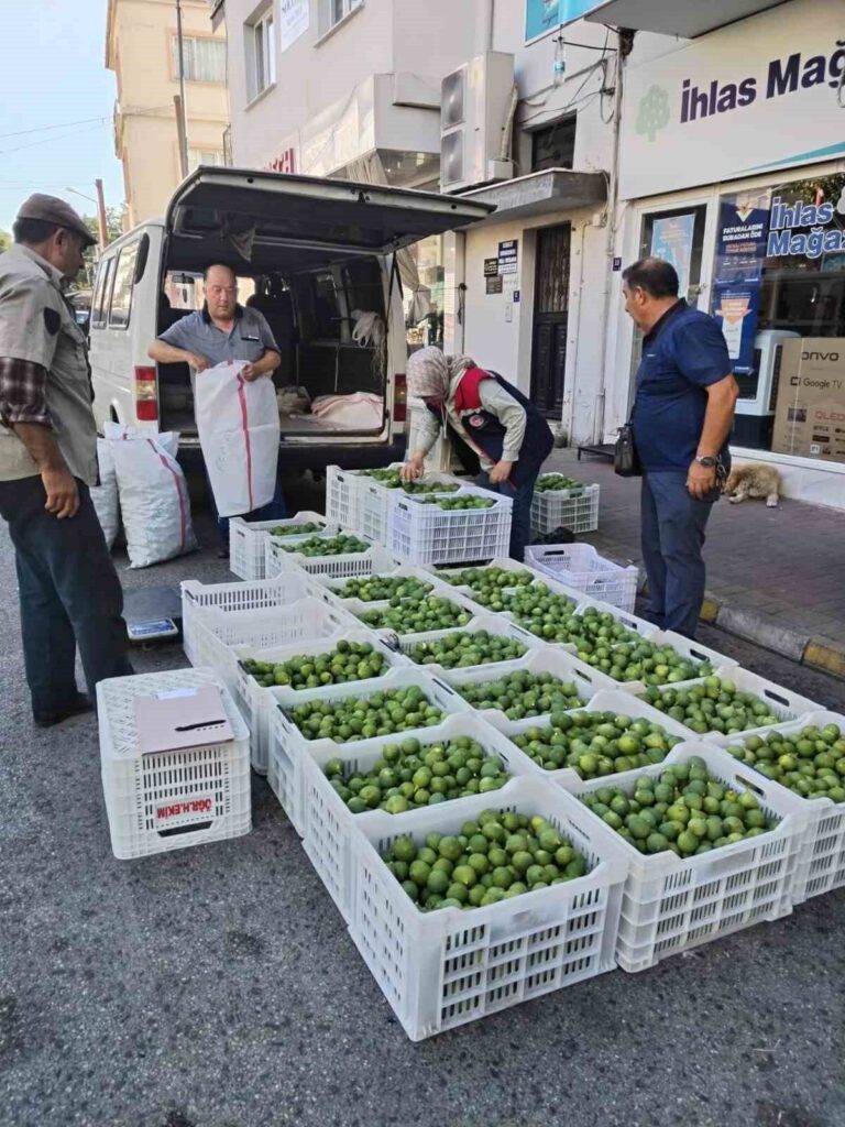 bozdoganda ilek denetimleri araliksiz suruyor dc229ed5e09a