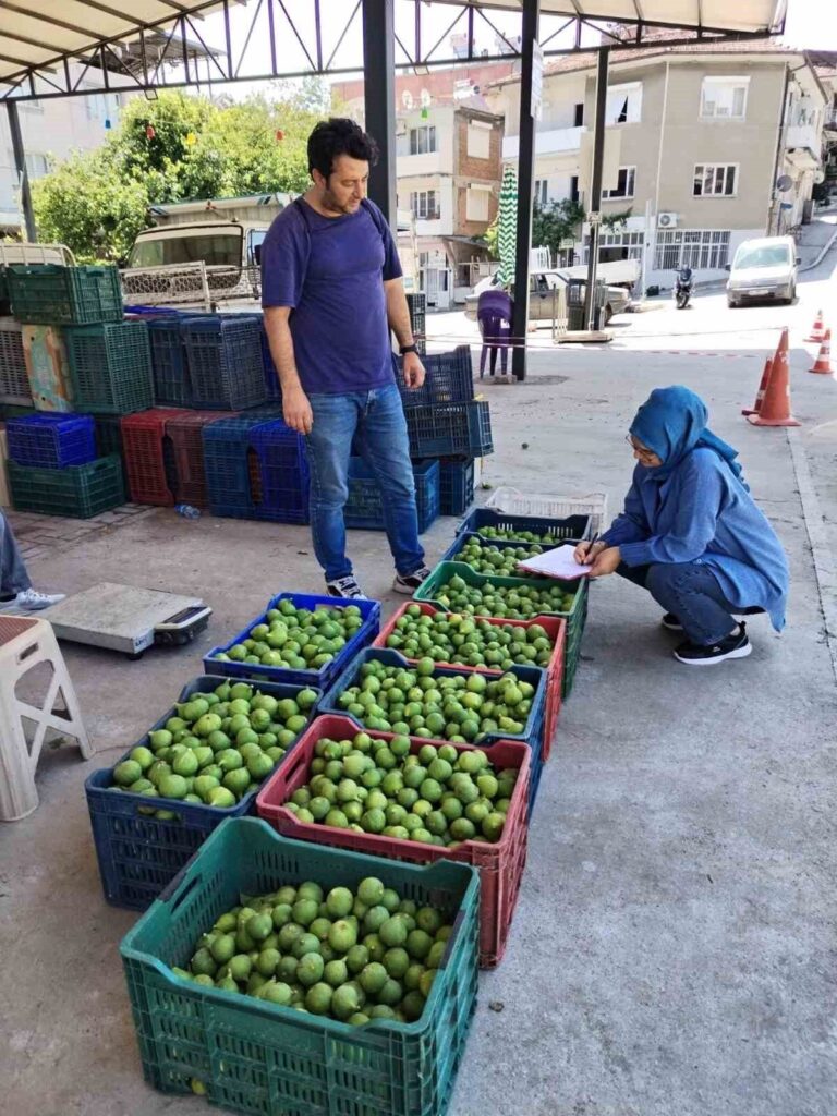 bozdoganda ilek denetimleri araliksiz suruyor eddd9241bf0f