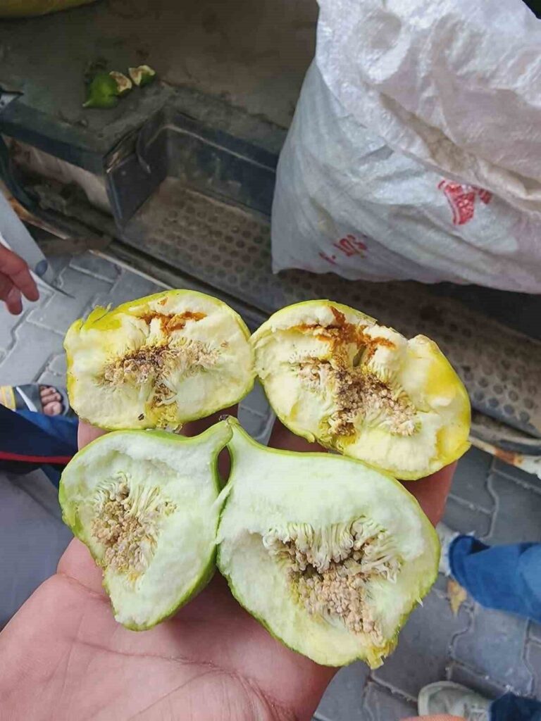 buharkentte ureticiler belgesiz ilek kullanimina karsi uyarildi e7fc1eb48065