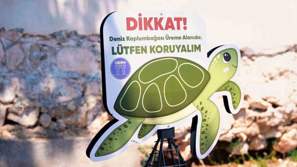 Didim Belediyesi deniz kaplumbağalarının yuvalama alanlarını koruma altına aldı 2 didim belediyesi deniz kaplumbagalarinin yuvalama alanlarini koruma altina aldi c5f57345ff13