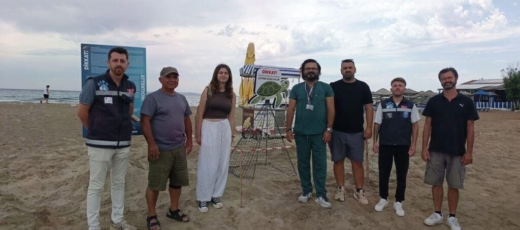 didim belediyesi ekiplerinin dikkati carettayi cakallardan korudu eeafb14a75e1