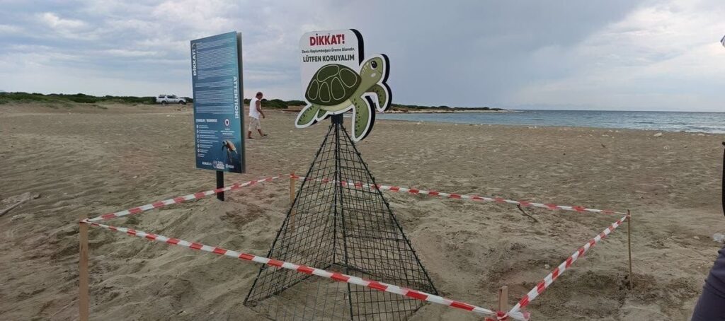didim belediyesi ekiplerinin zamaninda mudahalesi caretta carettayi kurtardi 85ce6c43138c