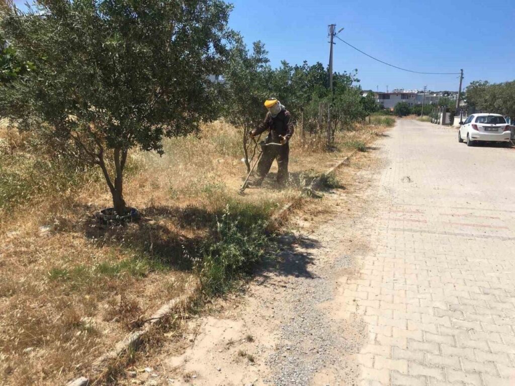 didim belediyesi yesil alanlarda bakim calismalarini surduruyor 239dc9d86bf7
