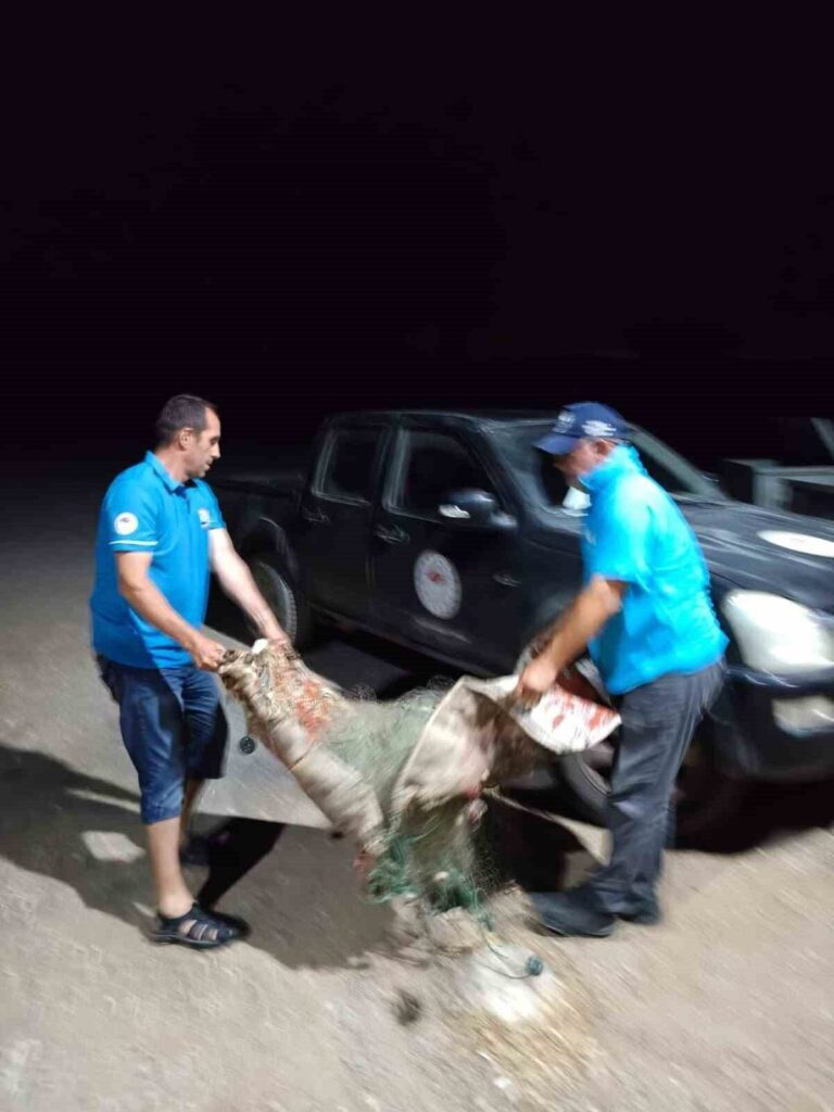 Didim’de balık ağlarına el konuldu 3 didimde sahipsiz balik aglarina el konuldu 02932fde5466