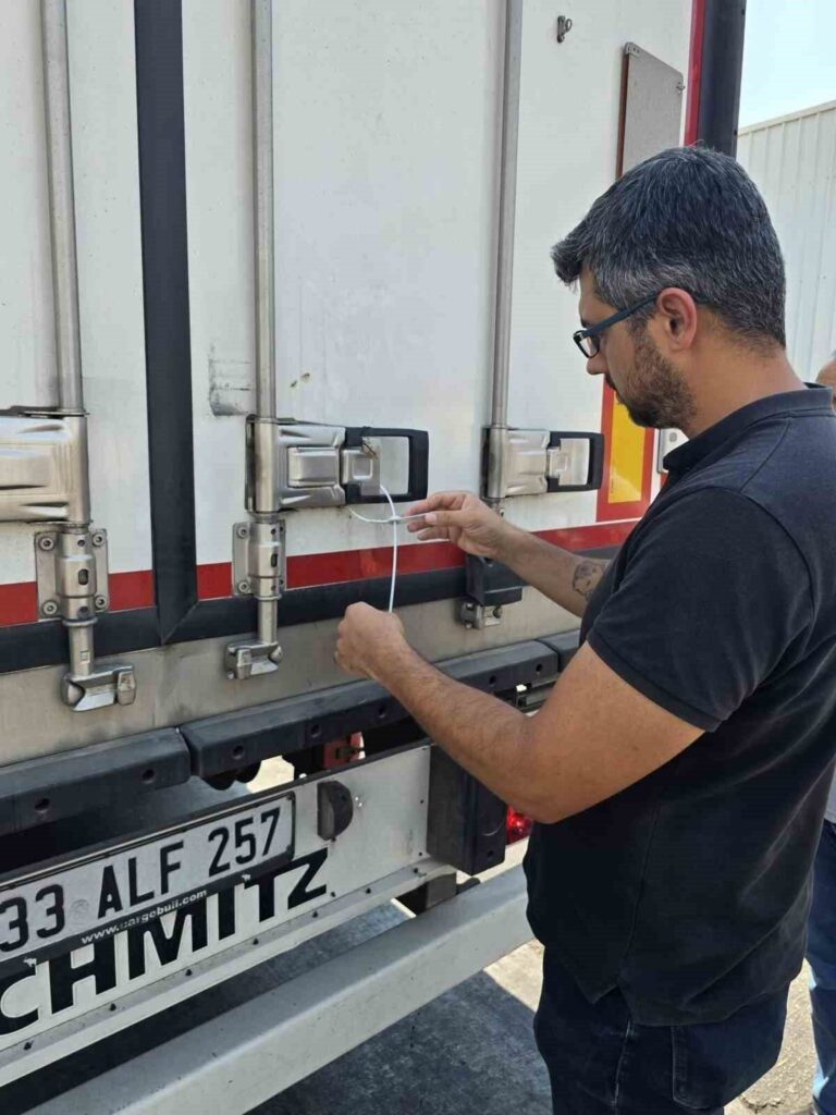 didimin baliklari ingiltere yolcusu 4ac556ebd7ce