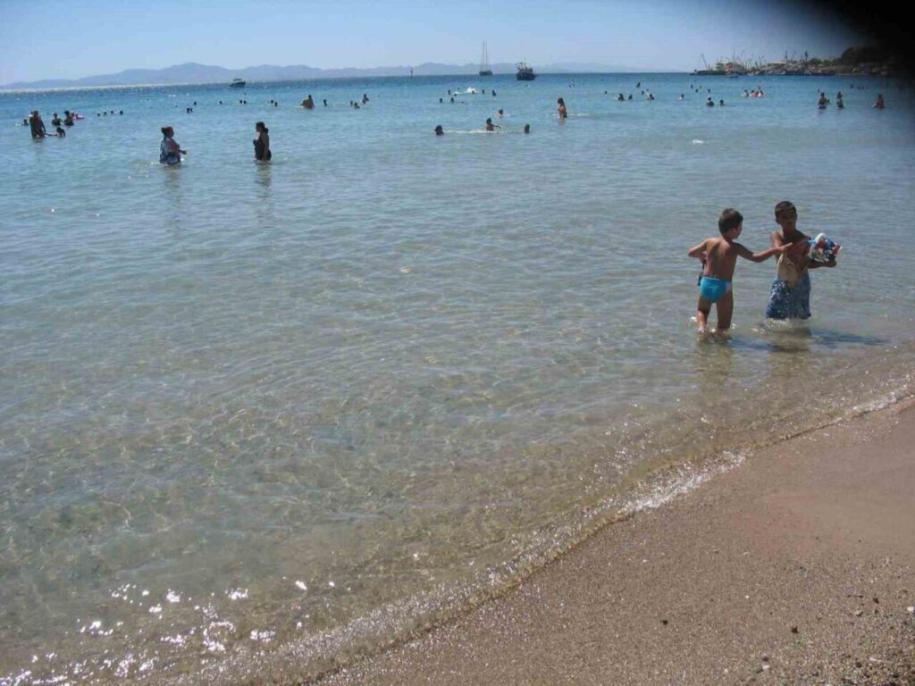 didimin deniz suyu kalitesi dikkat cekti 6994238f60ef