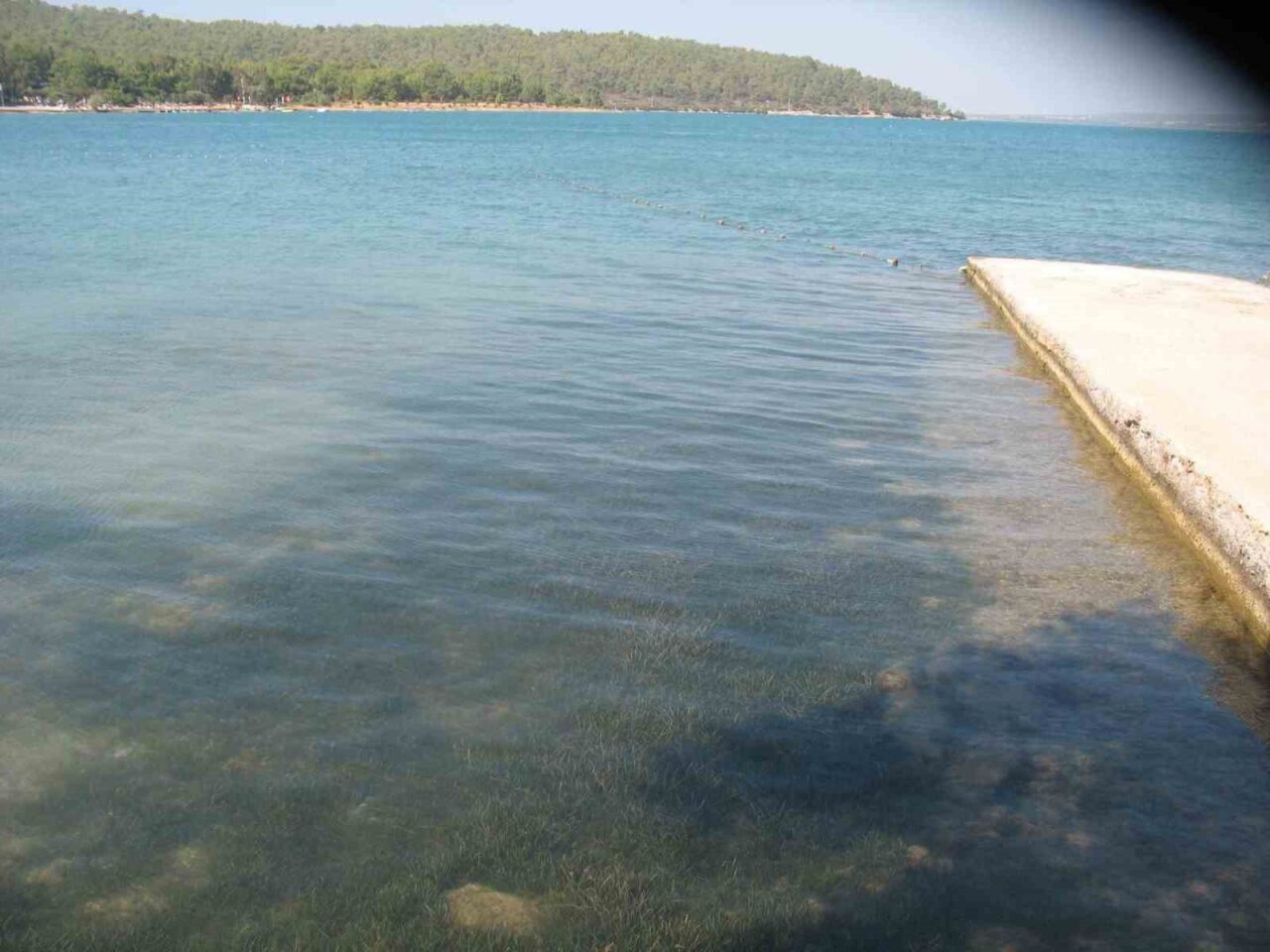 didimin deniz suyu kalitesi dikkat cekti 7cf0ce53e8de