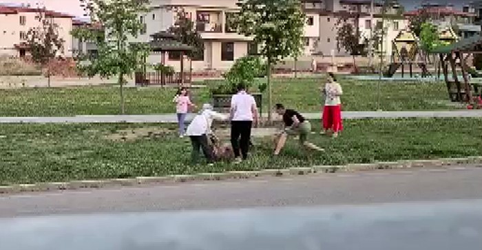 Doktor, başıboş sokak köpeğini etkisiz hale getirdi: İşte o anlar 2 Doktor, başıboş sokak köpeğini etkisiz hale getirdi: İşte o anlar