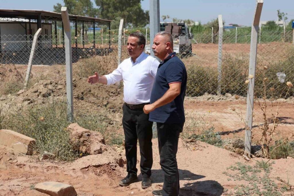 efeler belediyesinden sokak hayvanlari icin yeni yasam alani 2346137cafa9