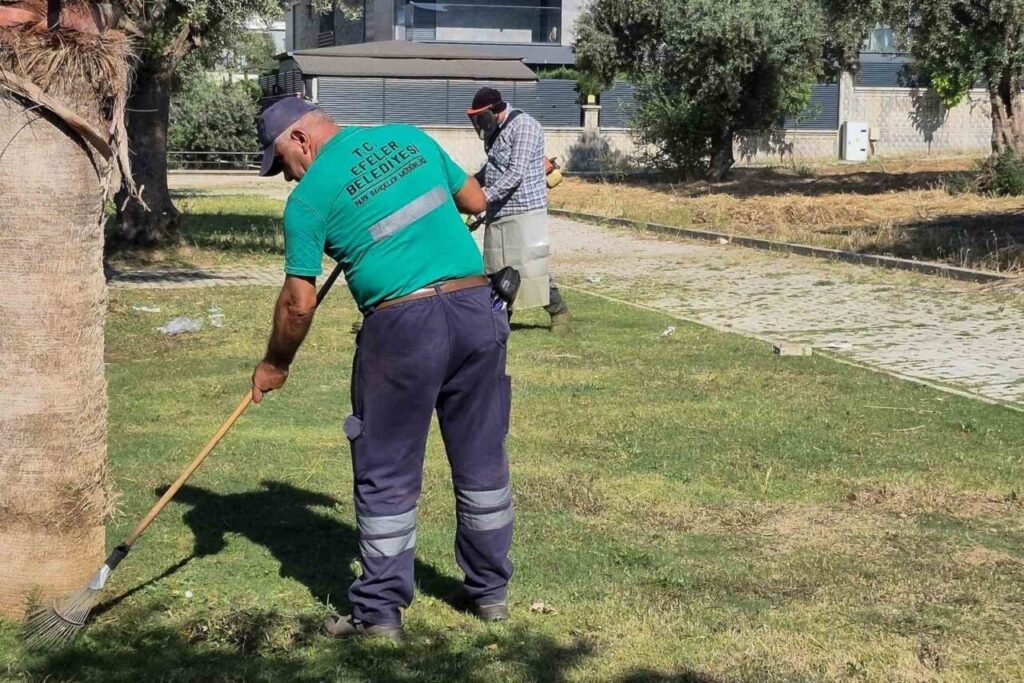 efelerde yesil alanlarda yaz temizligi 348784d4ac3c
