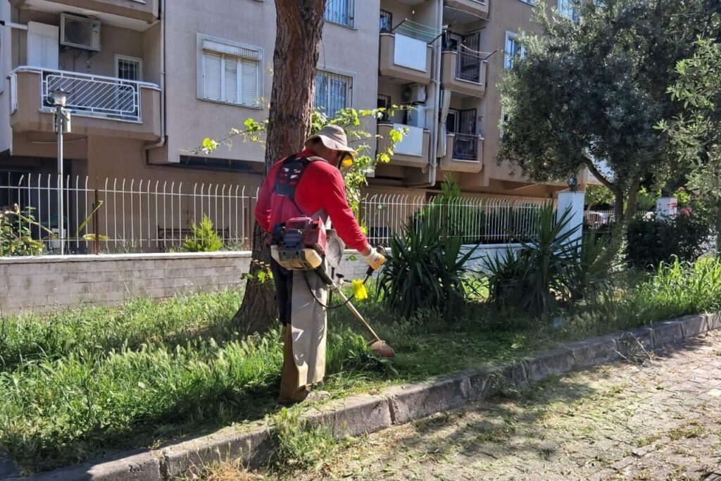 efelerde yesil alanlarda yaz temizligi 6aa57266e048
