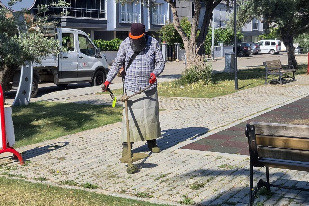 Efeler’de yeşil alanlarda yaz temizliği