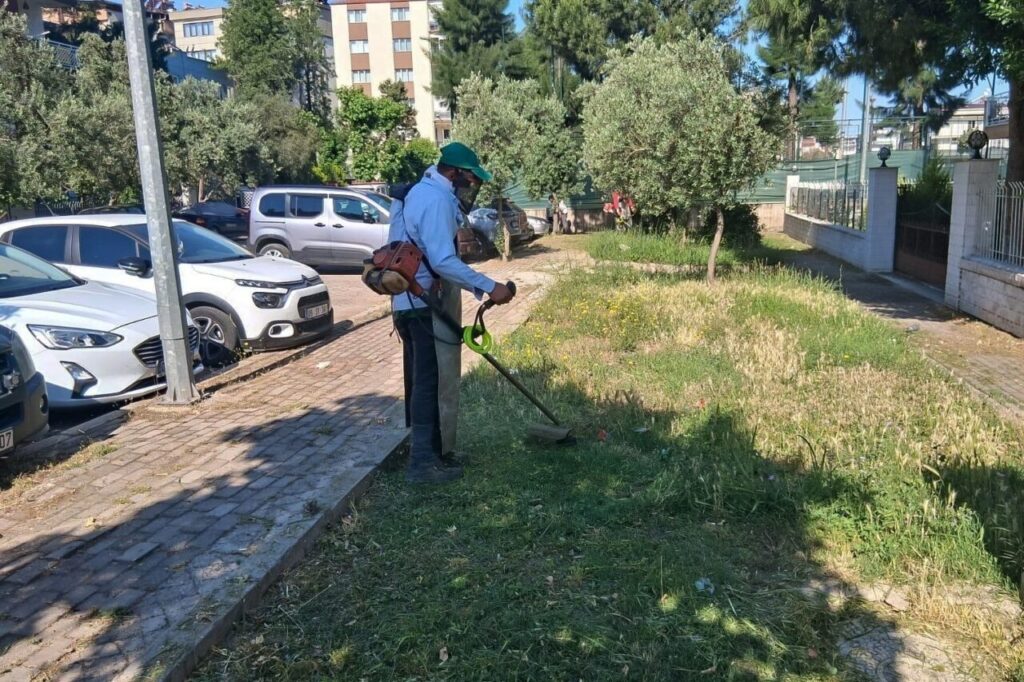 efelerde yesil alanlarda yaz temizligi a8fa428b87c3