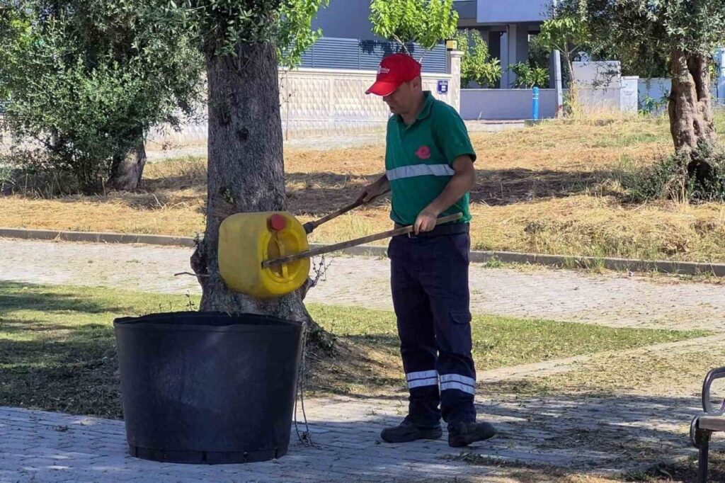efelerde yesil alanlarda yaz temizligi fda0edbfb10c