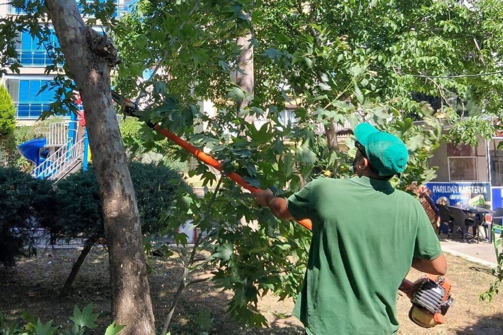 efelerin park ve yesil alanlarinda duzenleme calismalari suruyor 4bdb5ee0b6f3
