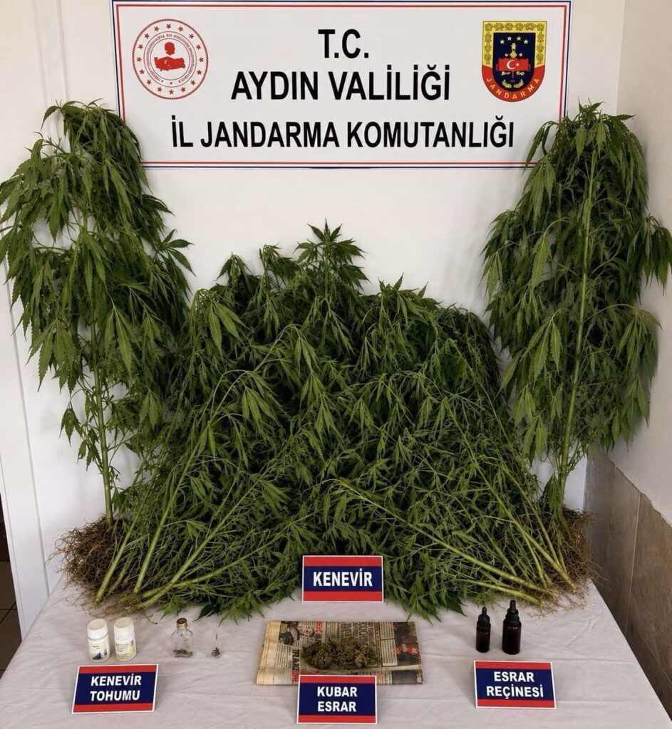 ev ve bahcesinde kenevir yetistiren supheli yakalandi 6de5e68e9e39
