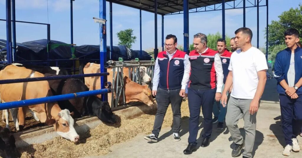 kirsalda bereket hayvanciliga destek projesi ile aydinda uretim gucu artiyor 002fa080366a