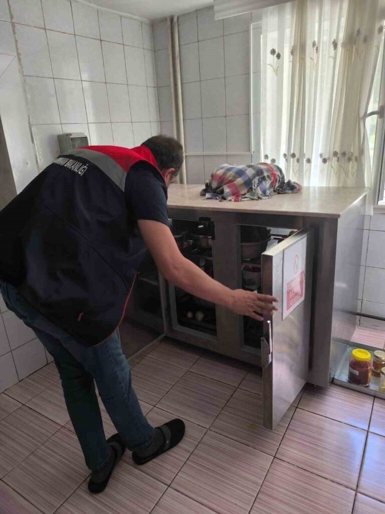 Köşk İlçe Tarım denetimlerini sürdürüyor 2 kosk ilce tarim denetimlerini surduruyor 1eeb7713dae0