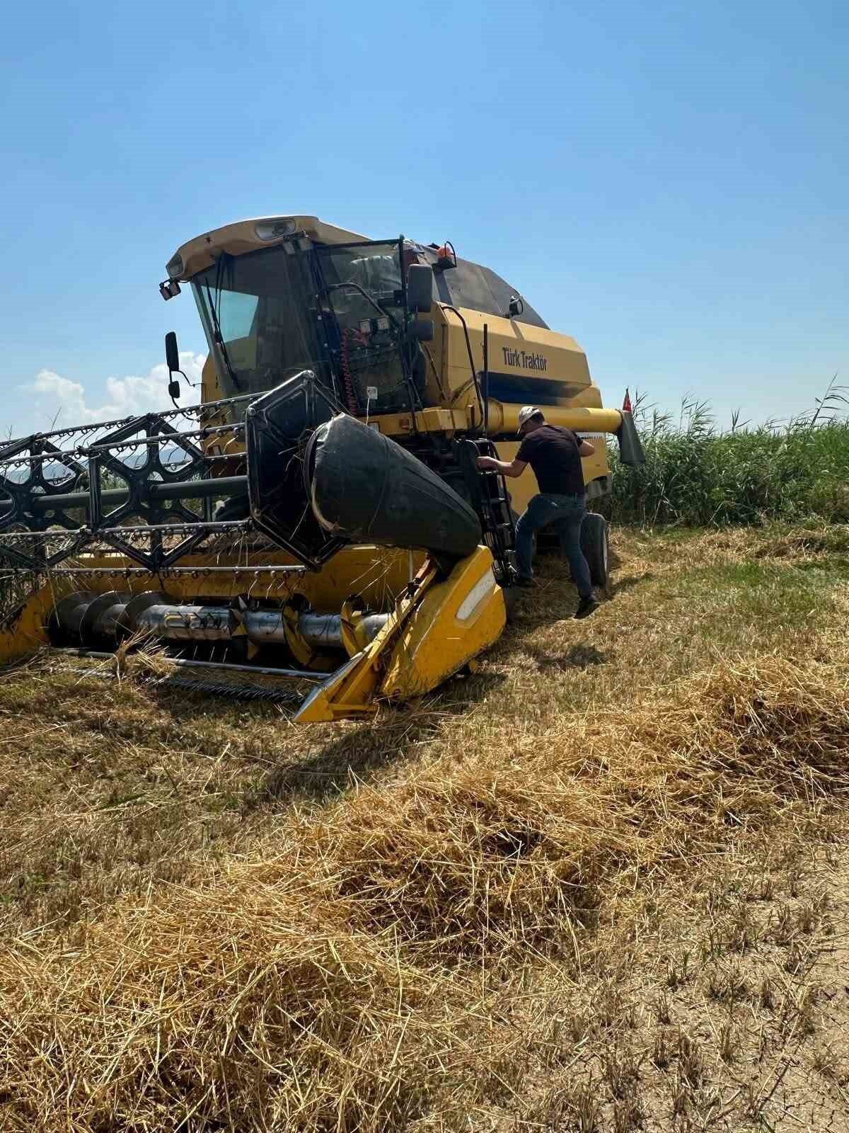 Köşk’te hububat hasadında dane kaybına karşı sıkı denetim 1 koskte hububat hasadinda dane kaybina karsi siki denetim b5ef0ce10cff