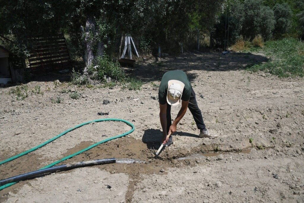 kusadasinda adabahce yaz hasadina gun sayiyor 7d470319770e