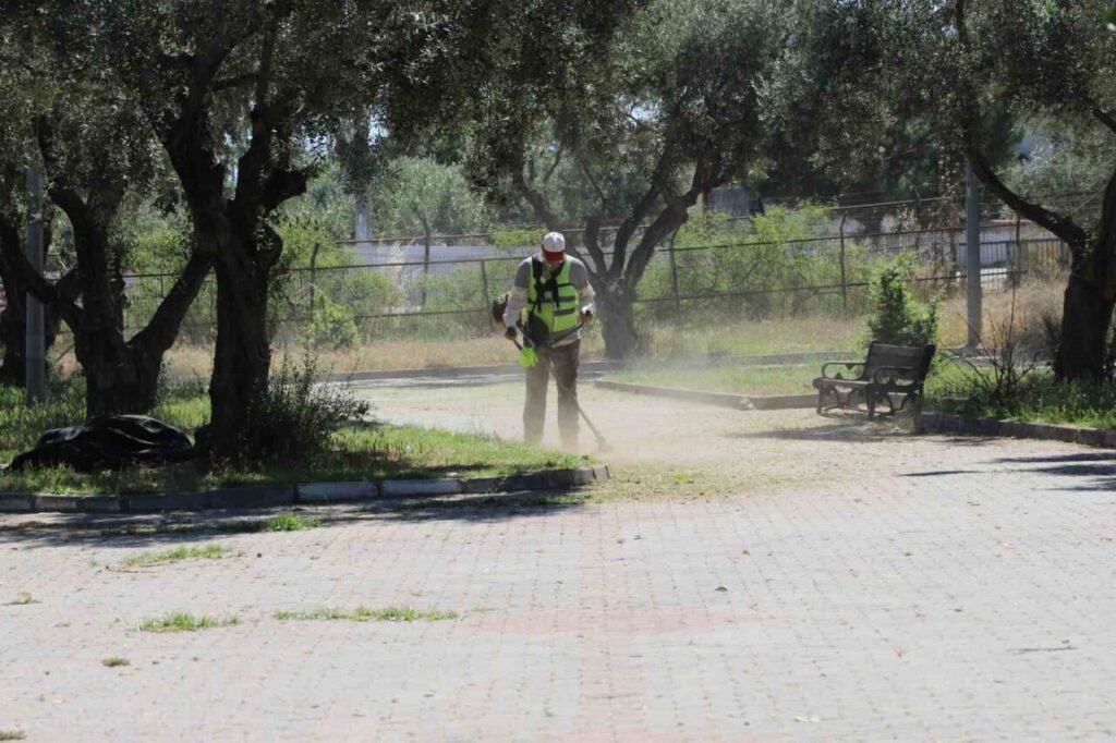 nazillide belediye ekipleri sahaya indi 24fc5e777b83