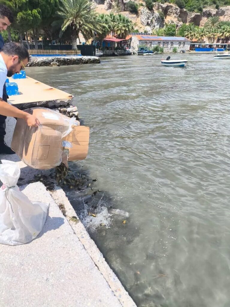 sokede kacak su urunleri nakline gecit verilmedi 8190fcf72d30